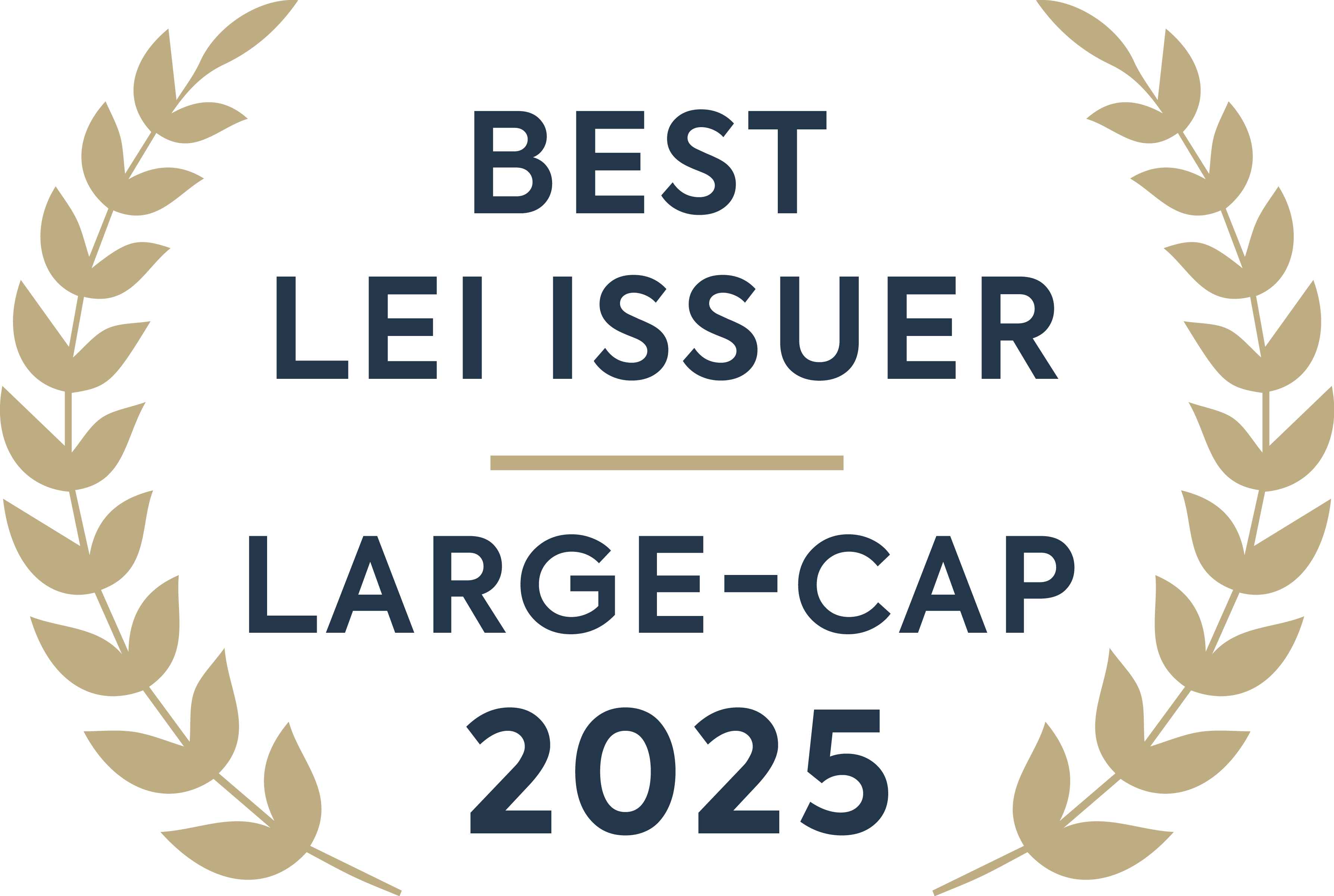Best LEI Large-Cap 2025